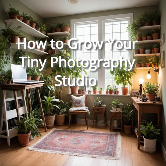 How to Grow Your Tiny Photography Studio