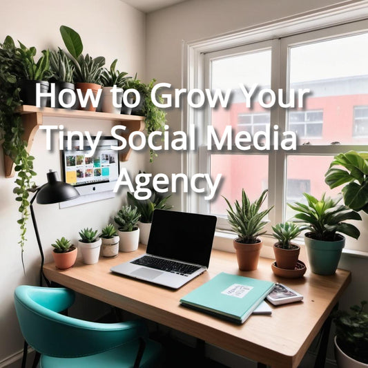 How to Grow Your Tiny Social Media Agency