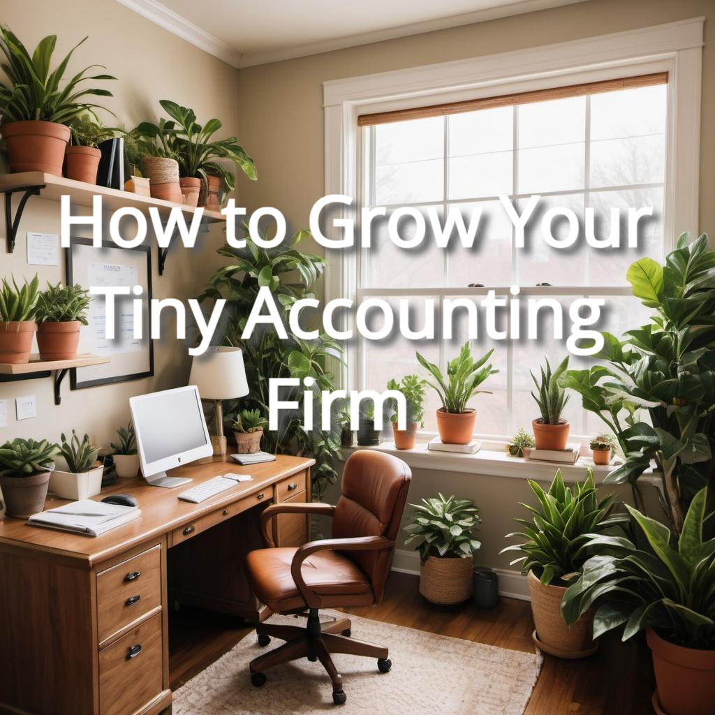 How to Grow Your Tiny Accounting Firm